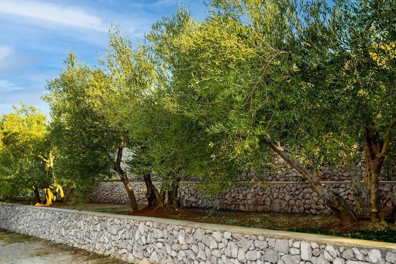 Koromačno Villa Panoramica